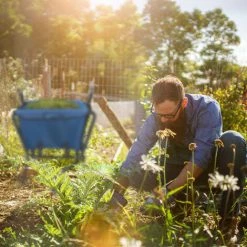 Relaxdays Brouette De Jardin, Avec Roue En Caoutchouc, Acier Et Polyester, 46 Litres, Pliable, HLP : 71x110x62 Cm, Bleue -chariot de jardin Soldes 2022 40317359 4