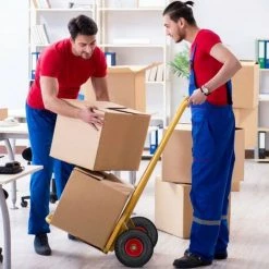 JARDIBRICODECO Roue De Brouette 3.00-4 Lot De 2 -chariot de jardin Soldes 2022 55316158 5