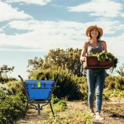 JARDIBRICODECO Brouette De Jardin En Bleu -chariot de jardin Soldes 2022 55316758 5