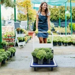 RELAX4LIFE Chariot De Transport Pliable En Fer Charge Max 300KG Avec Plateau Antidérapant, Chariot Pliable à 4 Roulettes En PU, 60 X 90 X 88 Cm Pour Déménagement Logistique Transport -chariot de jardin Soldes 2022 64129953 5