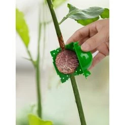 CSPARKV Incubateur De Racines De Plantes Dispositif D'enracinement Des Plantes Propagation à Haute Pression Bulbe Boîte D'enracinement Greffe Contrôleur De Racines De Plantes Reproduction Asexuée Des Plantes Grand Vert 10 Pcs -chariot de jardin Soldes 2022 65628865 4